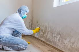 Environmental Consulting for Mold Prevention in Dunn, NC